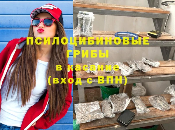 ECSTASY Алзамай