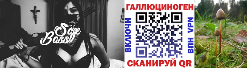 Псилоцибиновые грибы GOLDEN TEACHER  Фрязино 